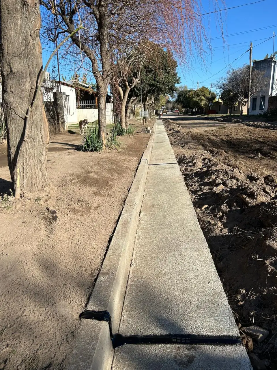 Cordón cuneta - Barrio Lomitas de Oro - Thumbnail 7
